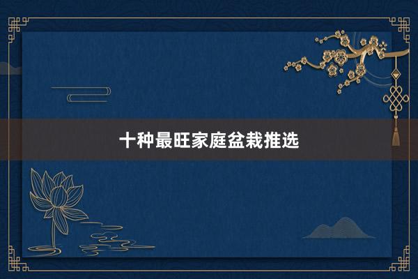 十种最旺家庭盆栽推选
