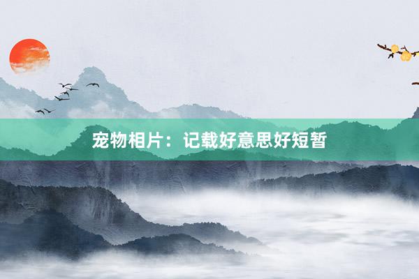 宠物相片：记载好意思好短暂
