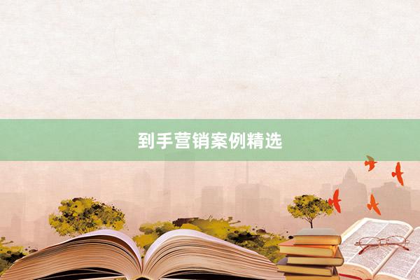 到手营销案例精选